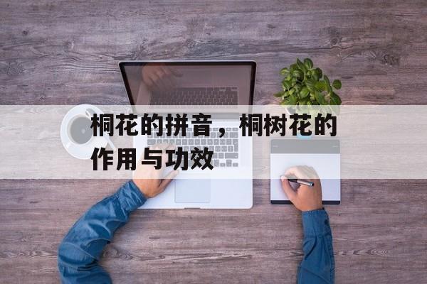 桐花的拼音，桐树花的作用与功效-第1张图片-