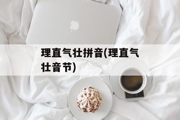 理直气壮拼音(理直气壮音节)-第1张图片-
