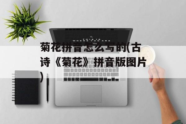菊花拼音怎么写的(古诗《菊花》拼音版图片)-第1张图片-