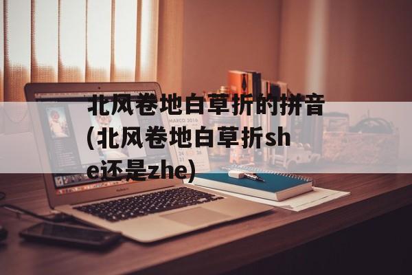 北风卷地白草折的拼音(北风卷地白草折she还是zhe)-第1张图片-