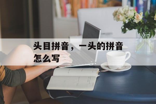 头目拼音，一头的拼音怎么写-第1张图片-