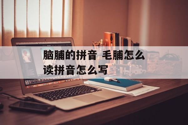 脑脯的拼音 毛脯怎么读拼音怎么写-第1张图片-