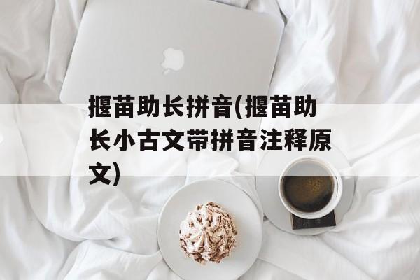 揠苗助长拼音(揠苗助长小古文带拼音注释原文)-第1张图片-