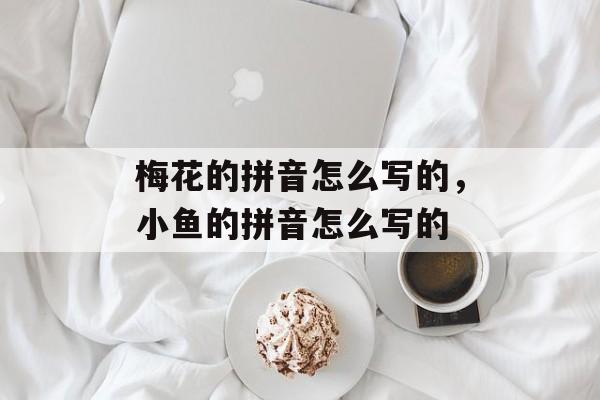 梅花的拼音怎么写的，小鱼的拼音怎么写的-第1张图片-