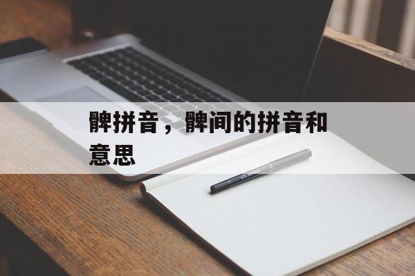 髀拼音，髀间的拼音和意思-第1张图片-