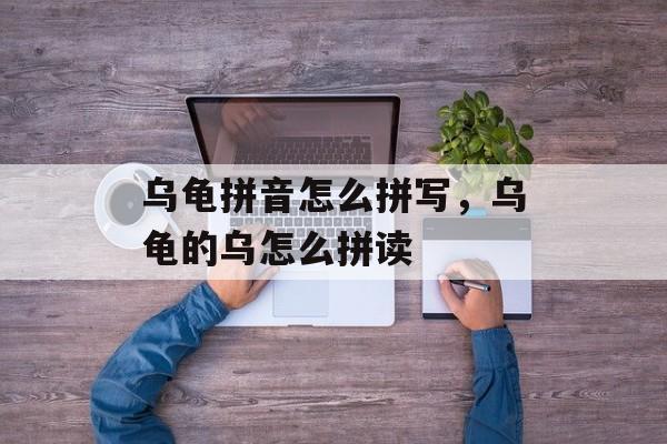 乌龟拼音怎么拼写，乌龟的乌怎么拼读-第1张图片-