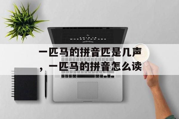 一匹马的拼音匹是几声，一匹马的拼音怎么读-第1张图片-