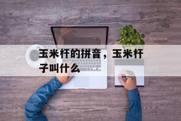 玉米杆的拼音，玉米杆子叫什么-第1张图片-