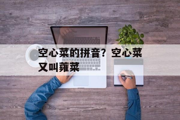 空心菜的拼音？空心菜又叫蕹菜-第1张图片-