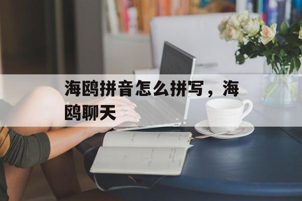 海鸥拼音怎么拼写，海鸥聊天-第1张图片-