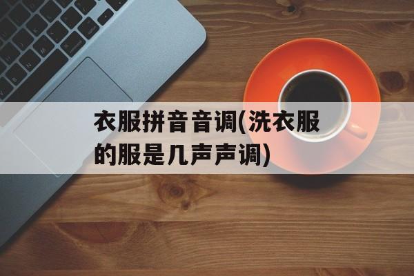 衣服拼音音调(洗衣服的服是几声声调)-第1张图片-