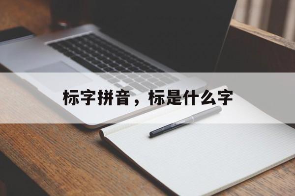 标字拼音，标是什么字-第1张图片-