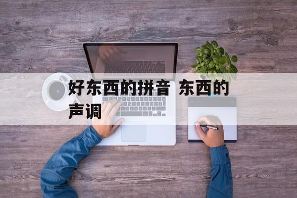 好东西的拼音 东西的声调-第1张图片-