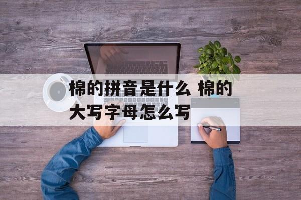 棉的拼音是什么 棉的大写字母怎么写-第1张图片-