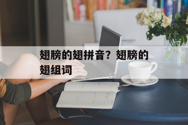 翅膀的翅拼音？翅膀的翅组词-第1张图片-
