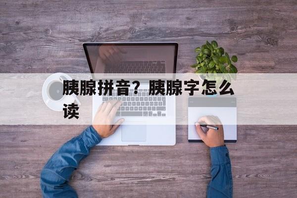 胰腺拼音？胰腺字怎么读-第1张图片-