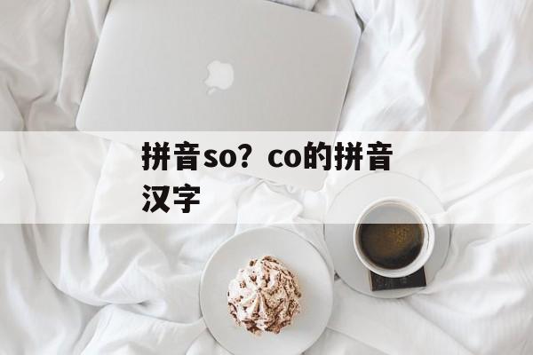 拼音so？co的拼音汉字-第1张图片-