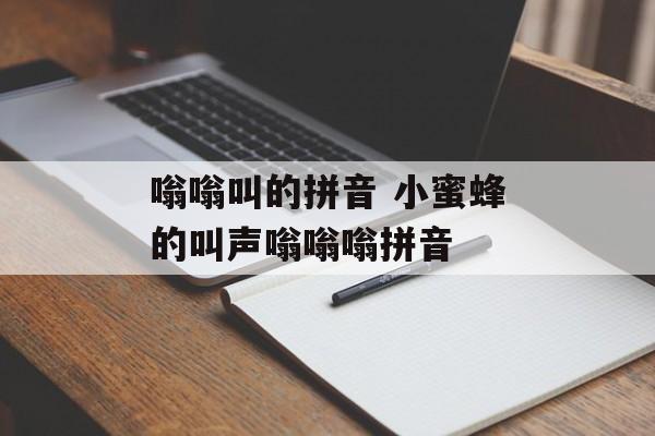 嗡嗡叫的拼音 小蜜蜂的叫声嗡嗡嗡拼音-第1张图片-