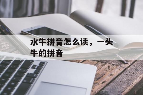 水牛拼音怎么读，一头牛的拼音-第1张图片-