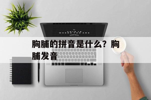 胸脯的拼音是什么？胸脯发音-第1张图片-