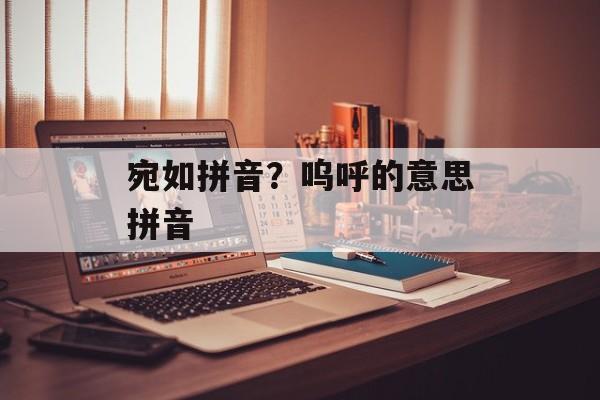 宛如拼音？呜呼的意思拼音-第1张图片-