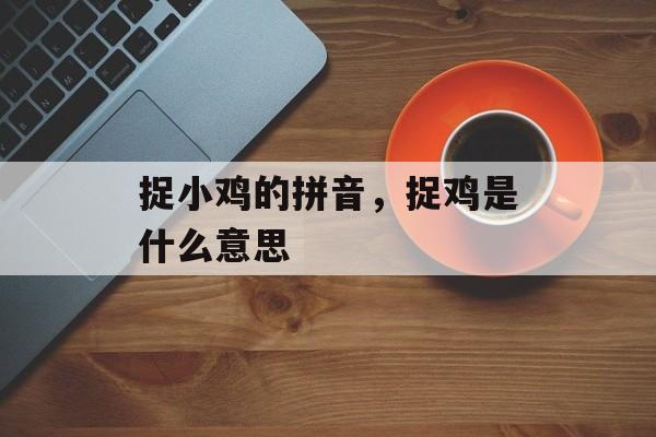 捉小鸡的拼音，捉鸡是什么意思-第1张图片-