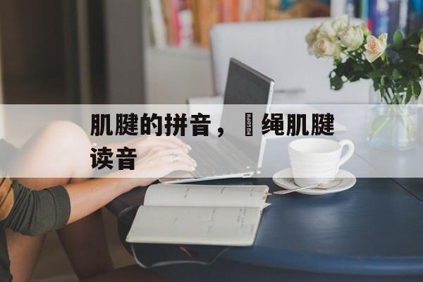 肌腱的拼音，腘绳肌腱读音-第1张图片-