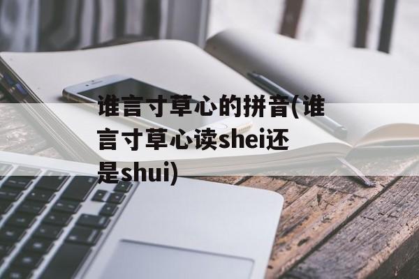 谁言寸草心的拼音(谁言寸草心读shei还是shui)-第1张图片-