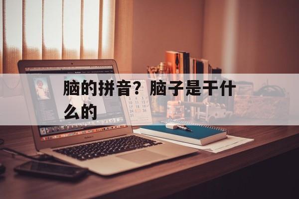 脑的拼音？脑子是干什么的-第1张图片-