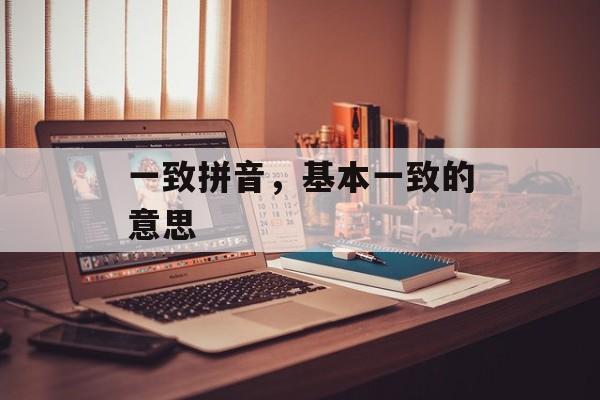 一致拼音，基本一致的意思-第1张图片-