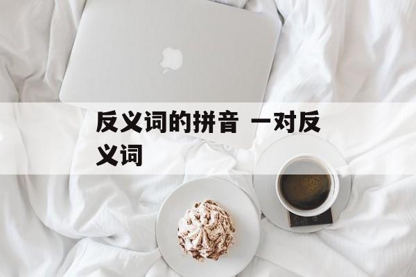 反义词的拼音 一对反义词-第1张图片-