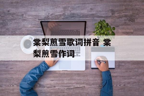 棠梨煎雪歌词拼音 棠梨煎雪作词-第1张图片-