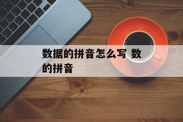 数据的拼音怎么写 数的拼音-第1张图片-