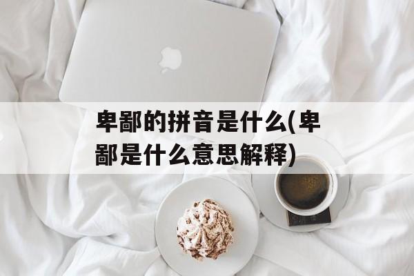 卑鄙的拼音是什么(卑鄙是什么意思解释)-第1张图片-