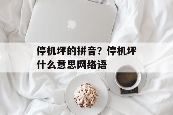 停机坪的拼音？停机坪什么意思网络语-第1张图片-