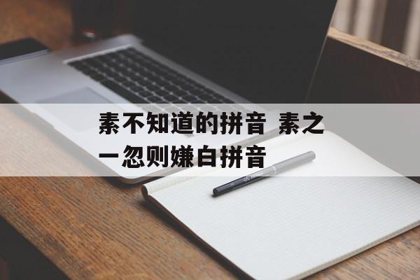 素不知道的拼音 素之一忽则嫌白拼音-第1张图片-