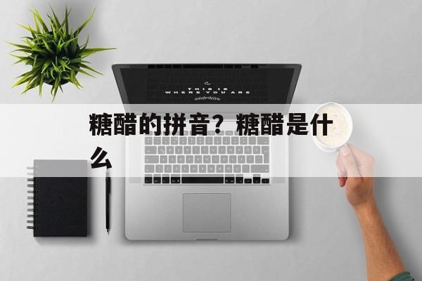 糖醋的拼音？糖醋是什么-第1张图片-