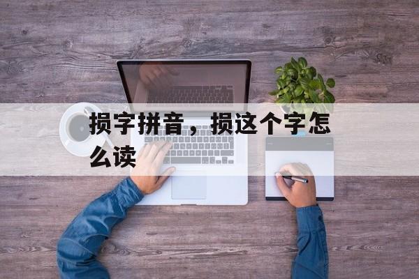 损字拼音，损这个字怎么读-第1张图片-