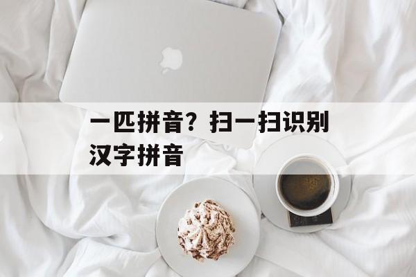 一匹拼音？扫一扫识别汉字拼音-第1张图片-
