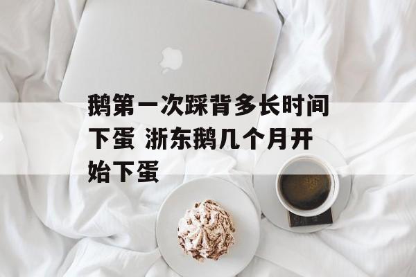鹅第一次踩背多长时间下蛋 浙东鹅几个月开始下蛋-第1张图片-
