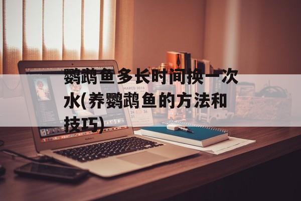 鹦鹉鱼多长时间换一次水(养鹦鹉鱼的方法和技巧)-第1张图片-