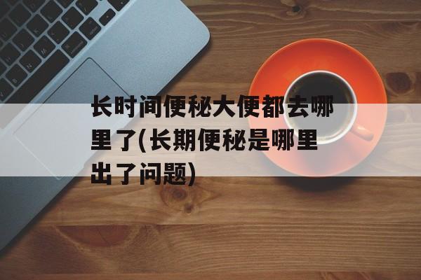 长时间便秘大便都去哪里了(长期便秘是哪里出了问题)-第1张图片-