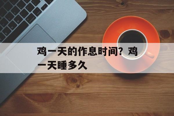 鸡一天的作息时间？鸡一天睡多久-第1张图片-