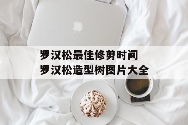 罗汉松最佳修剪时间 罗汉松造型树图片大全-第1张图片-
