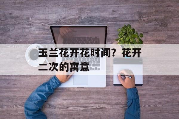 玉兰花开花时间？花开二次的寓意-第1张图片-