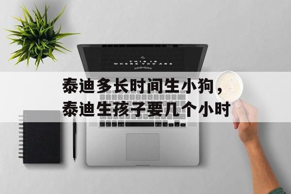 泰迪多长时间生小狗，泰迪生孩子要几个小时-第1张图片-