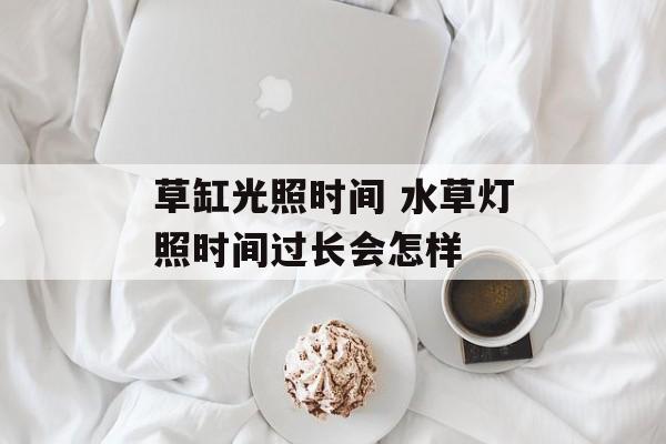 草缸光照时间 水草灯照时间过长会怎样-第1张图片-
