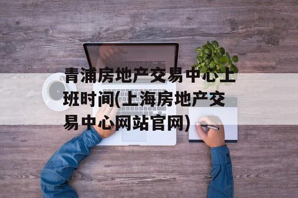 青浦房地产交易中心上班时间(上海房地产交易中心网站官网)-第1张图片-