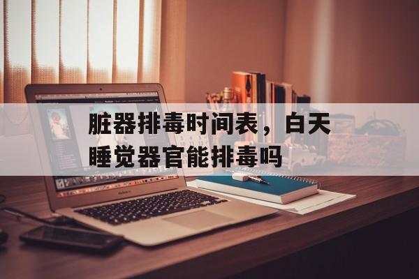 脏器排毒时间表，白天睡觉器官能排毒吗-第1张图片-