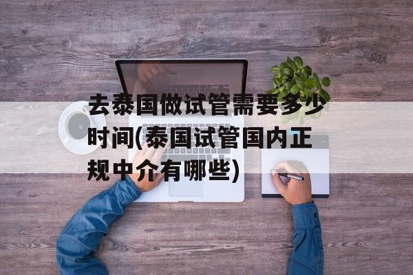 去泰国做试管需要多少时间(泰国试管国内正规中介有哪些)-第1张图片-
